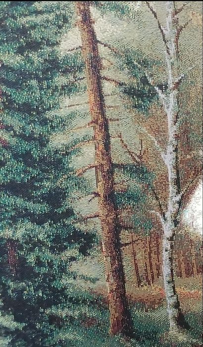 Картина типа гобелен 70*50