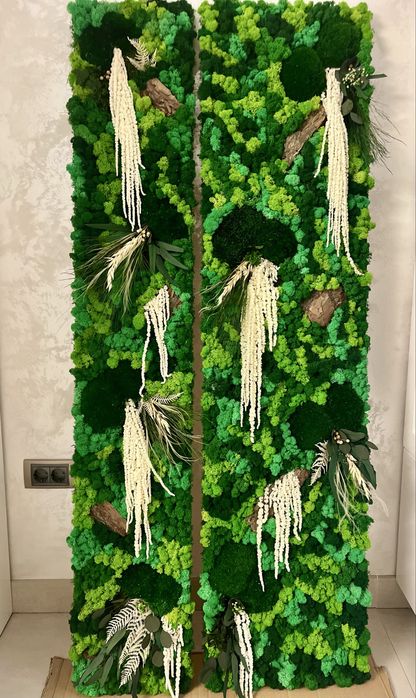 Ceasuri/tablouri cu licheni si plante naturale stabilizate
