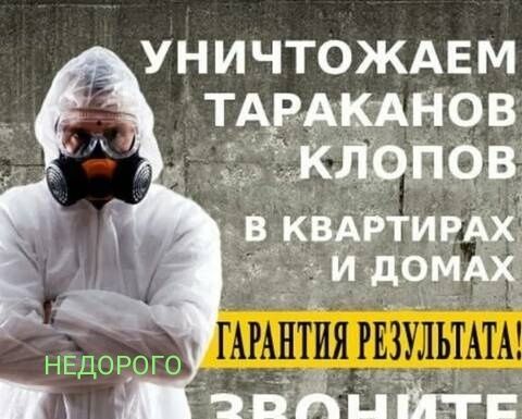 Дезинфекция ,уничтожение насекомых