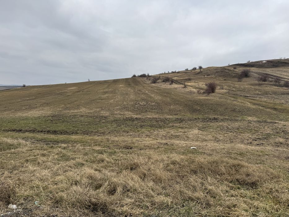 Terenuri extravilane in Copaceni investitie intr-o zona in dezvoltare