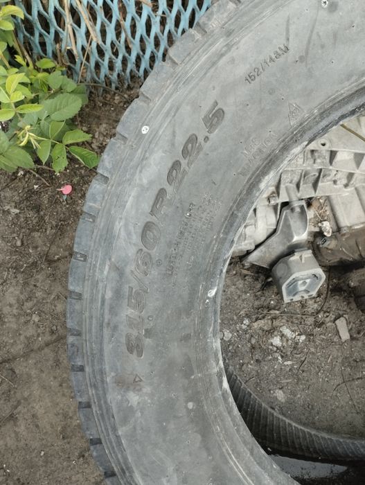 Болоны бу хорошие