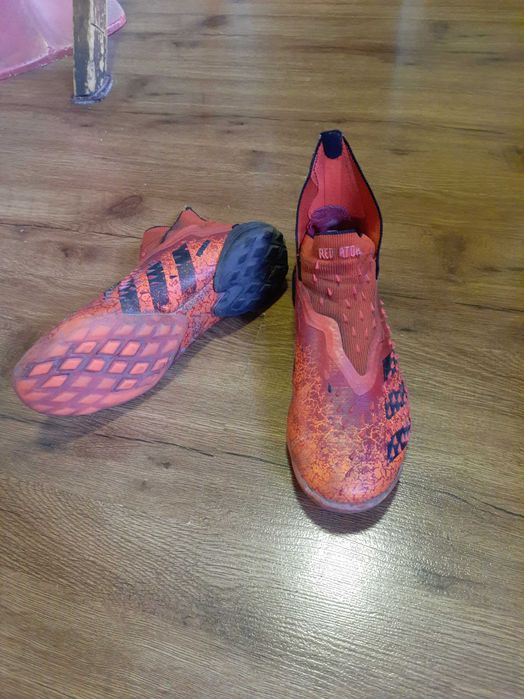 Сороконожки предатор