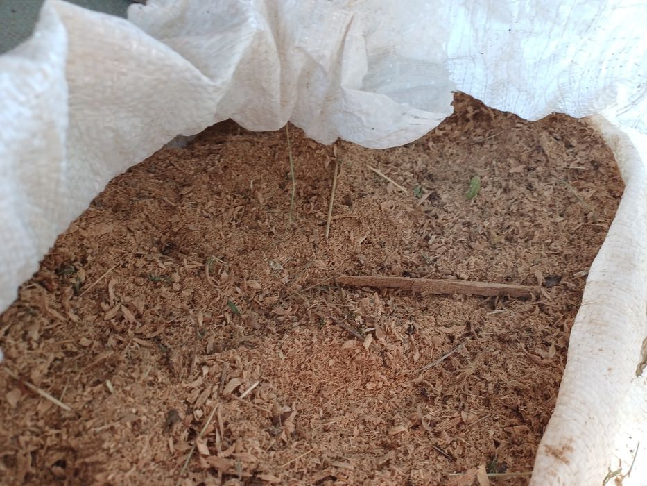 Талаш от дъб и ясен