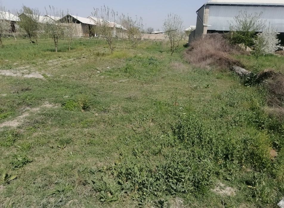 Salom Srochni yer sotiladi sutiyi 1400$