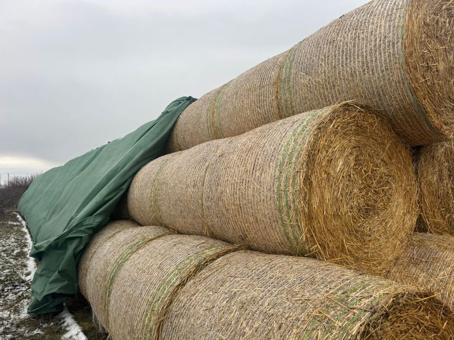 Baloti din paie de grau 2025
