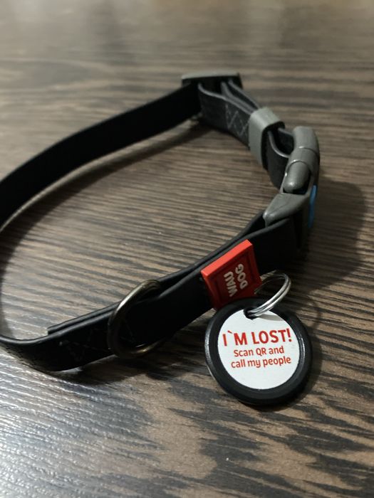 Ошейник для животных