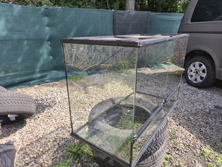 Terariu  animale companie, șerpi iguana tarantule
