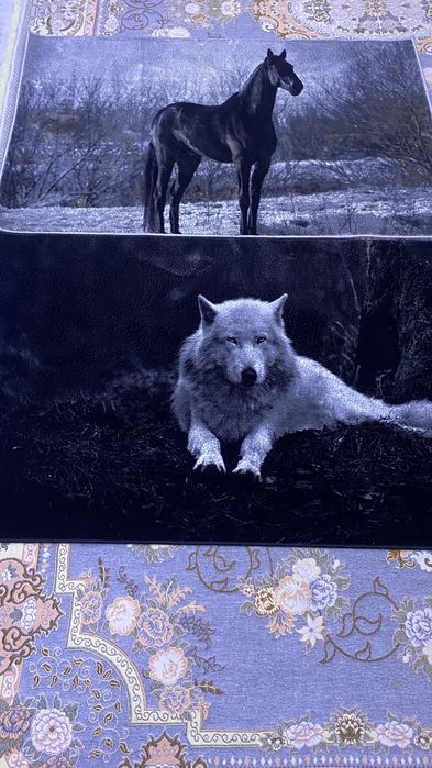 Ковер плюшевый