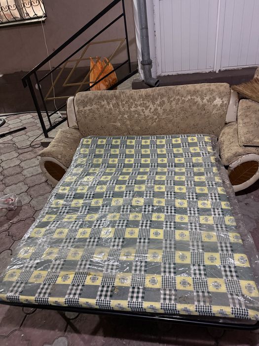 Шымкент Диван.