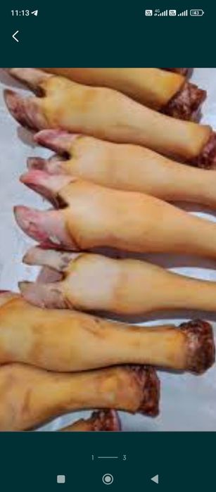 Продам требуху говяжьи