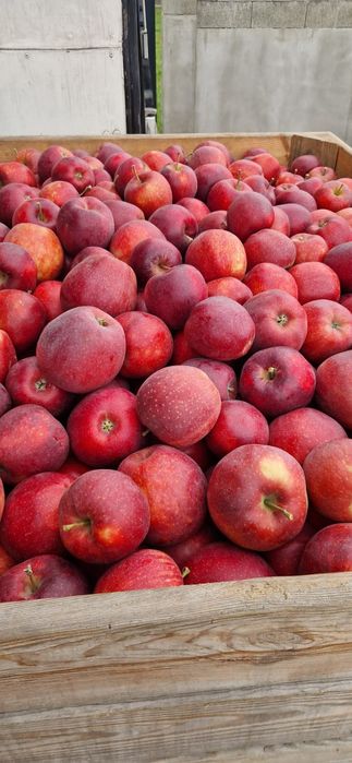 Vând Mere și Cartofi