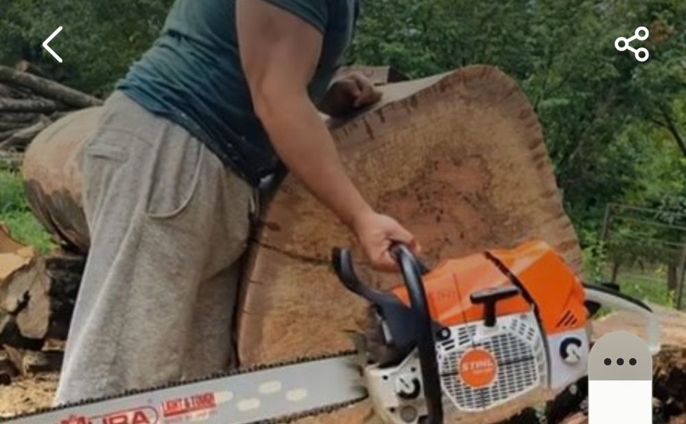 Daraxt kesamiz / Benzopila xizmati