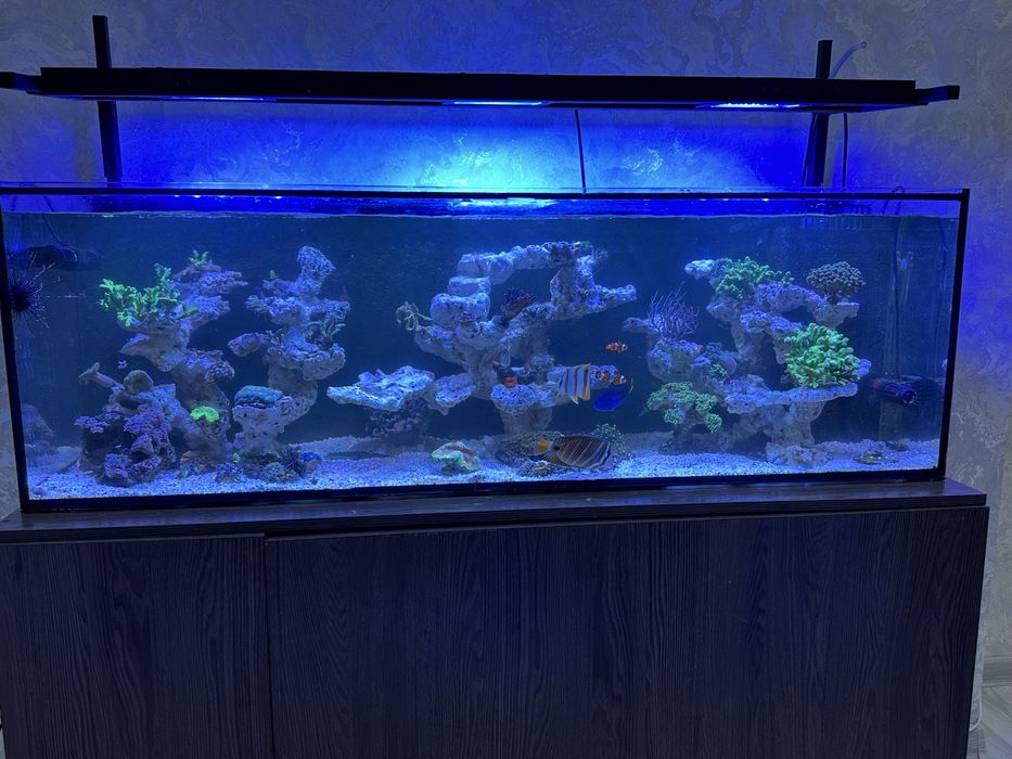 Морской аквариум