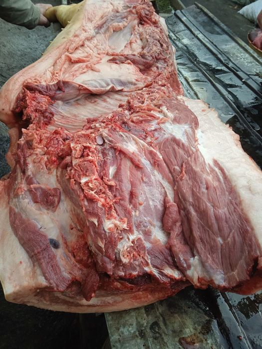 Продам домашнее мясо свинины