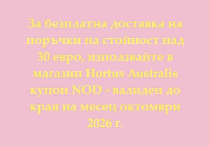 Продавам разсад от евкалипт и австралийска акация