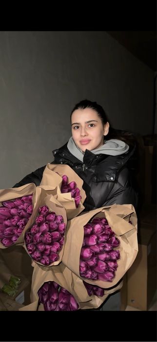 Тюльпан с оформлением ПРЕМИУМ