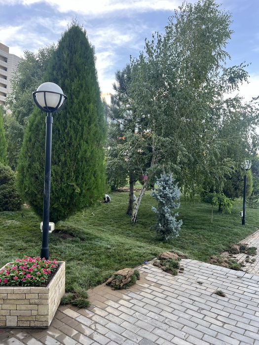 Gazo’n ornatish hizmati ishimizga garantiya beramiza