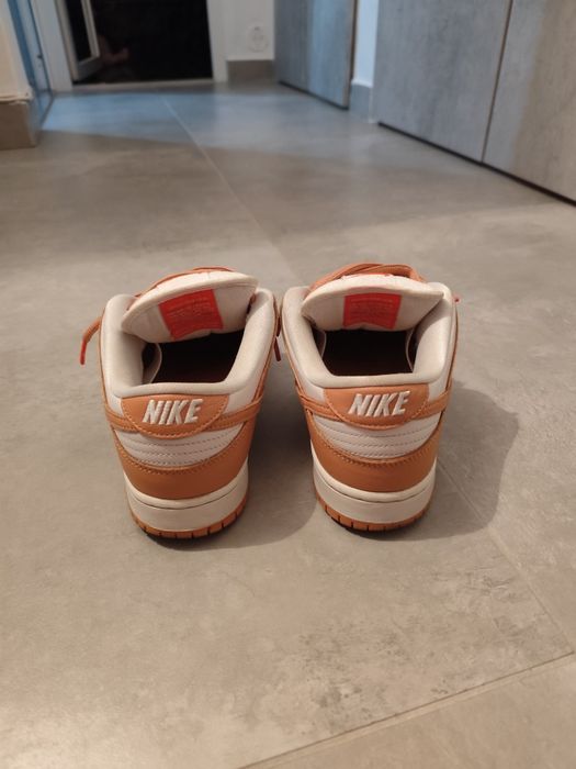 Nike Dunk Pro Light Coniac