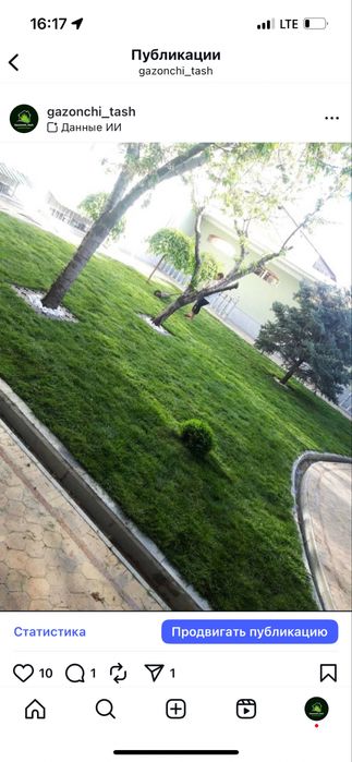 Gazon ustanovka landshaft dizayn