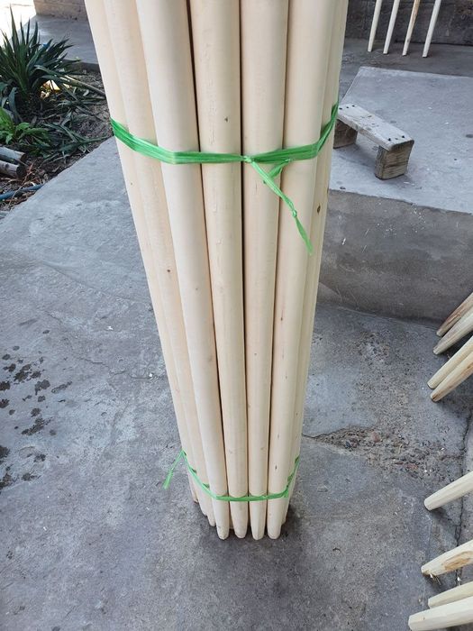 Sop dasta tol ketmon lapatka