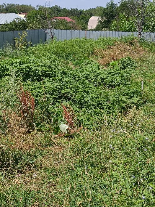 Участок 5 соток земли