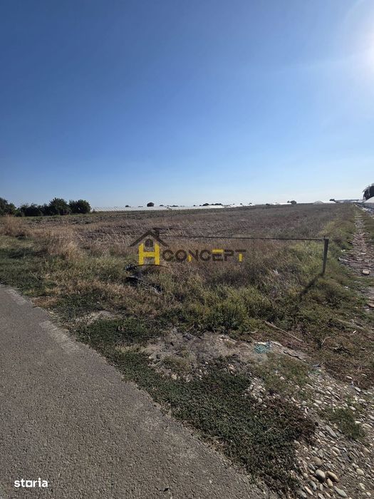 Teren 7 euro mp str asfaltata langa padure Colibasi Campurelu