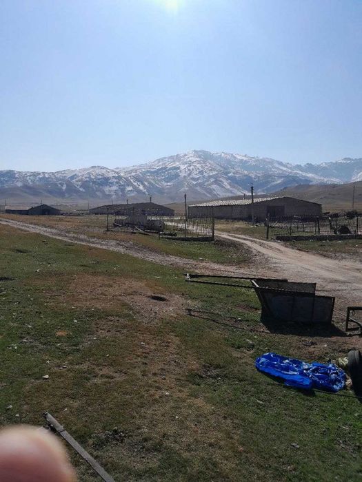 Продаю ферму / Ferma sotiladi