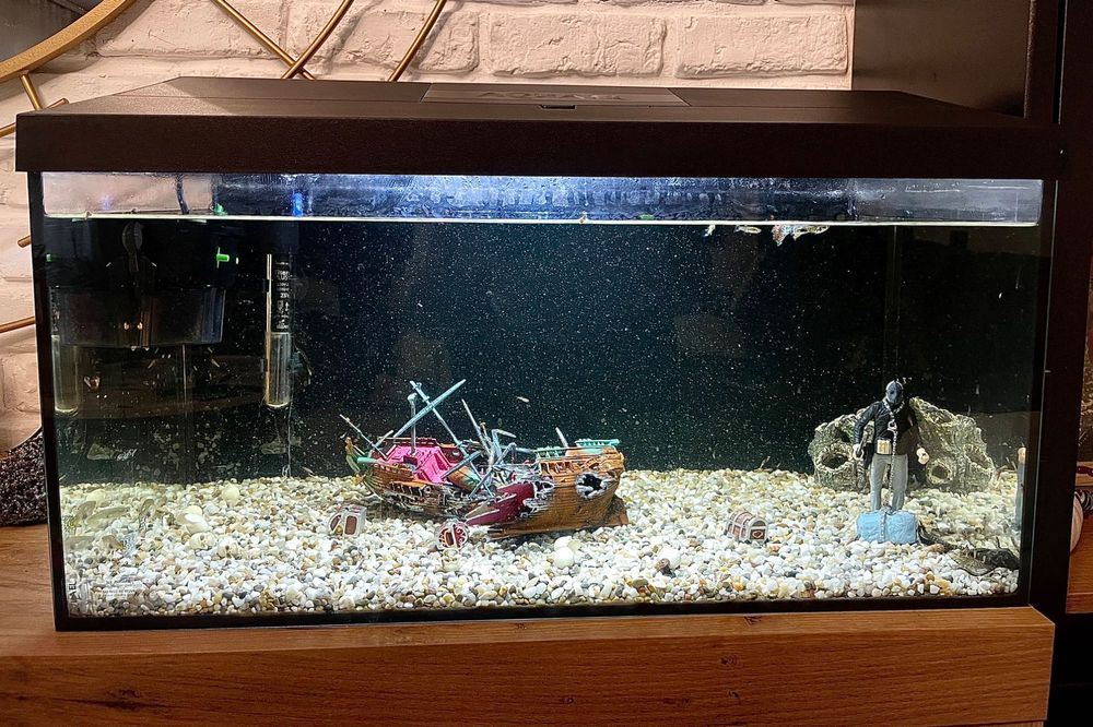 Acvariu 60 L complet echipat