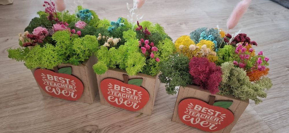 За най- добрия учител