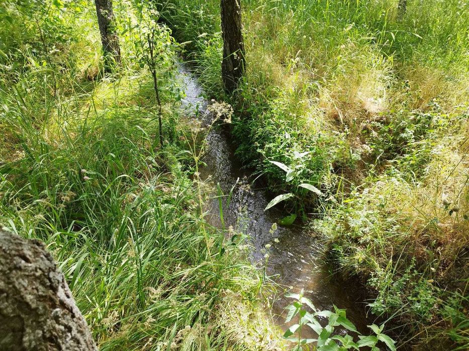 Дом-дача в горах 23 сот {Нанай]