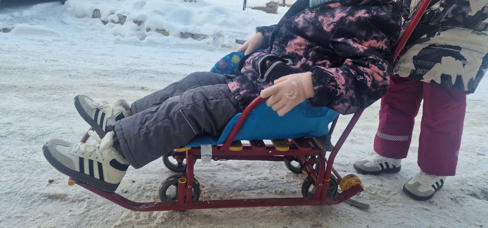 Сани в отличном состоянии