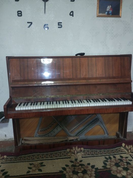 Piyanino.  Eng zori.