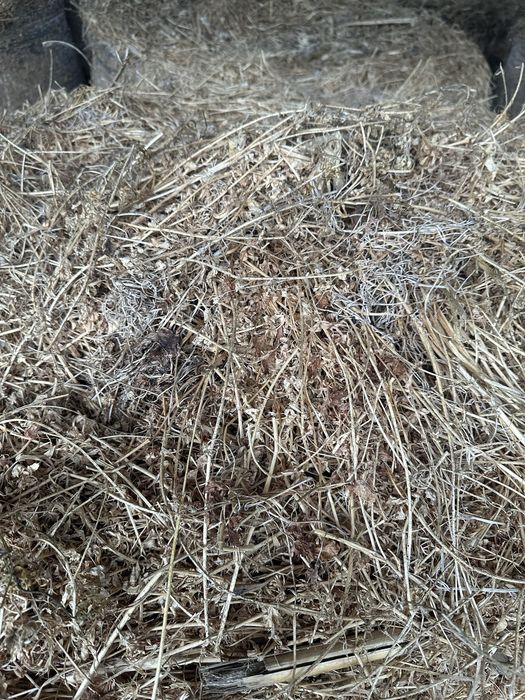 Baloti de lucerna si lemne