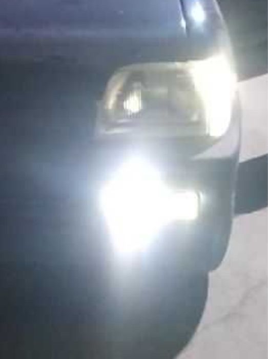 Туманка тико лабо дамас1