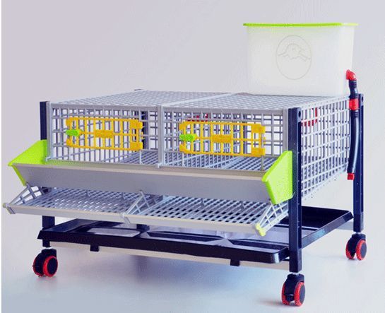 Bedana qafas sotiladi 1 donaga 8.000 dan