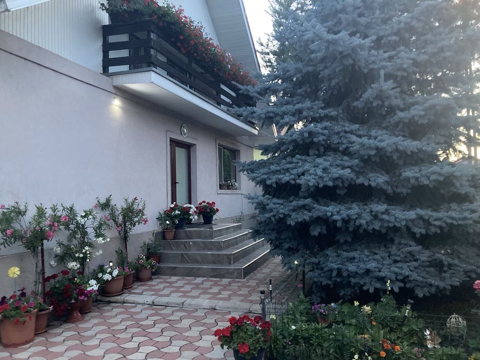 De vanzare , Casa +800/m2 teren Iasi