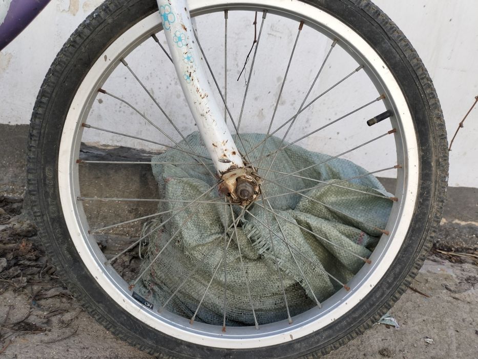 Велик сатлады арзан бағада