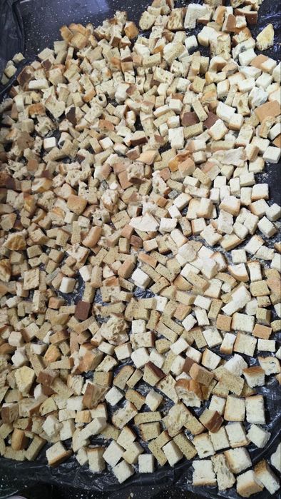 Qurutib toralgan non