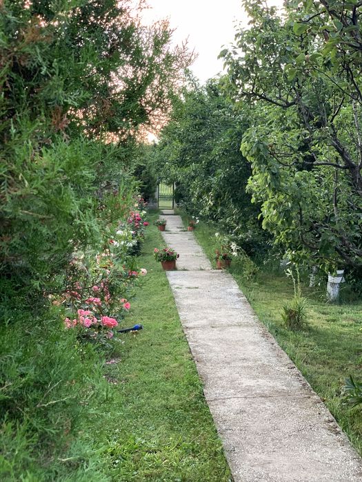 Proprietate deosebită cu teren generos și livadă, la doar 10 minute de Slatina