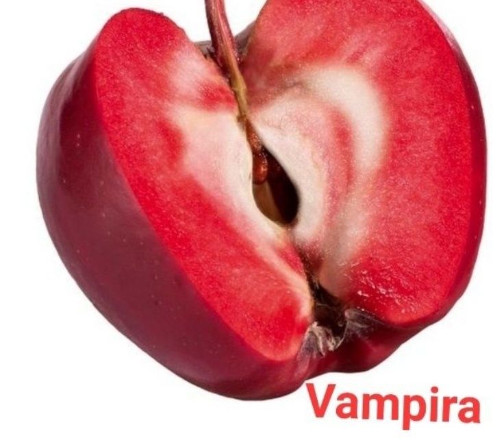 Mar Deosebit Soiul Vampira