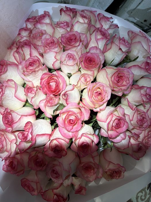 Цветы 51 роза розовые