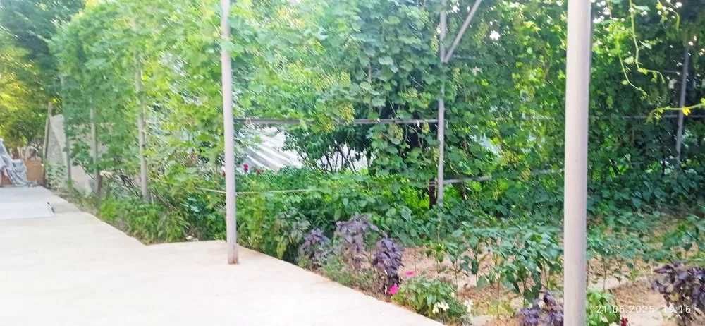 Срочно...Лайлак махалла 4.2 соток 5 хона