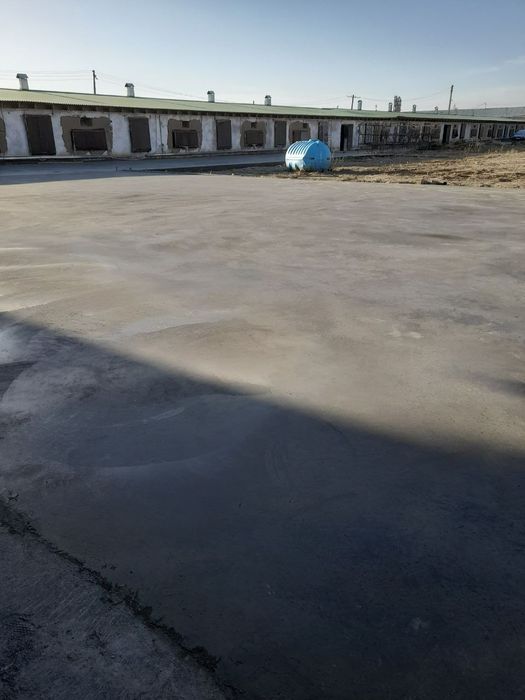 Mazayka vs Styashka vertalyot (мазайка  вс Стяшка верталет) xizmatlari