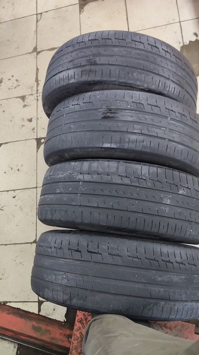 Шины континента ль лето