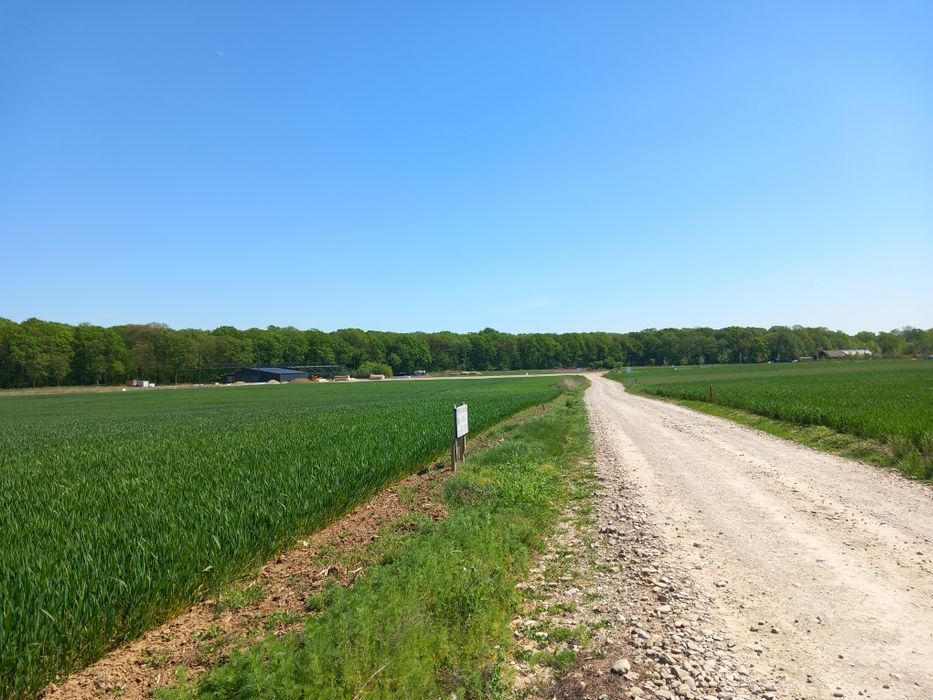 Teren intravilan 1850m