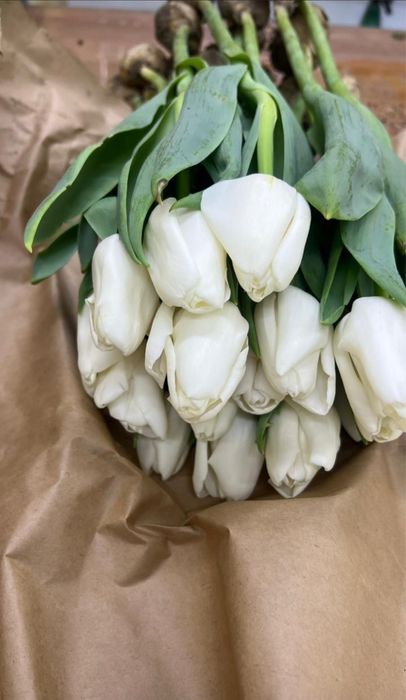 Розы китай склад в Алматы. Тюльпаны