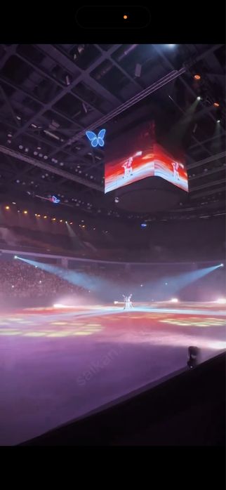 Летающие волшебные бабочки