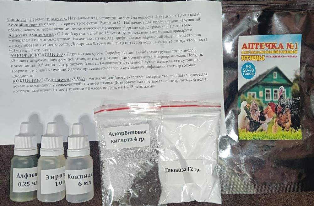 Инкубационное яйцо