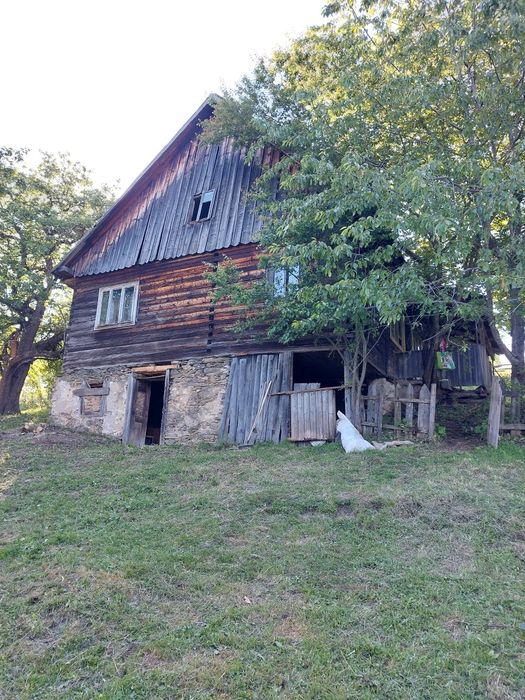 Vand teren intravilan si casa