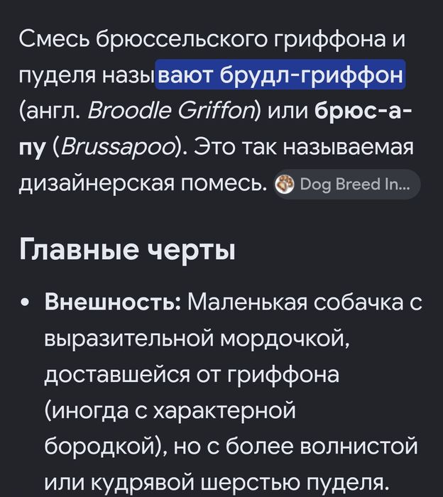 Крошечные Щенки Брюс-а-пу